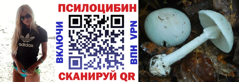 Псилоцибиновые грибы мухоморы Грайворон