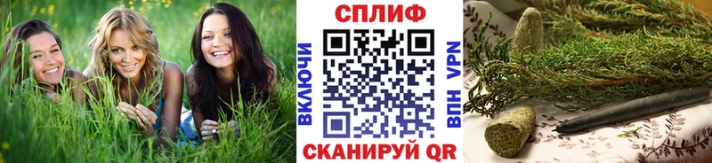 Бошки марихуана семена  что такое   Грайворон 
